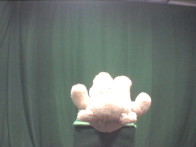 0 Degrees _ Picture 9 _ Light Brown Teddy Bear Lying on Back.png